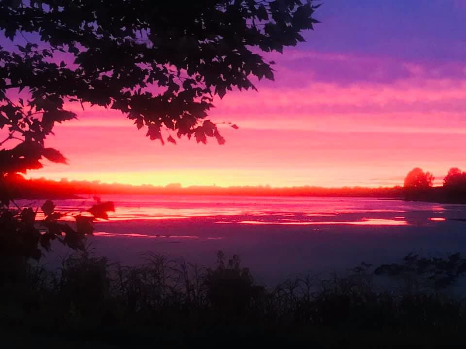 Pink.jpg